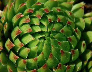 目の下の脂肪取り後のダウンタイムはどれくらい必要ですか？