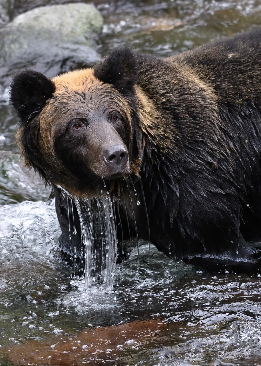クマ治療のダウンタイムが短いとどんなメリットがあるの？