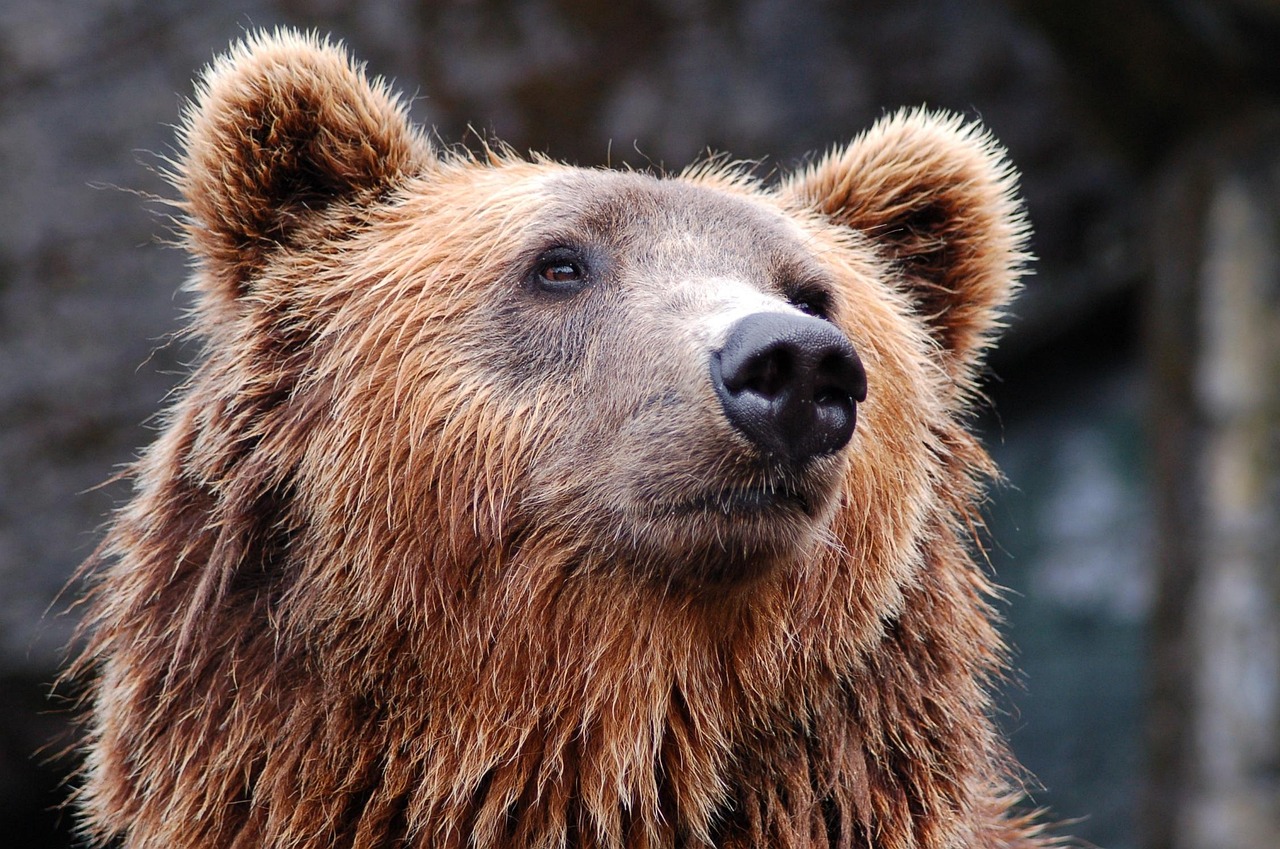 クマ治療のダウンタイムが短いと感じる理由は？