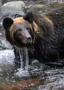 クマ治療のダウンタイムが短い方法とは？
