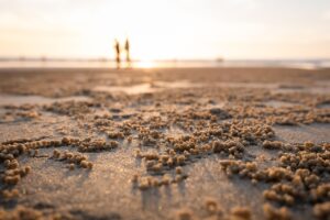 週末に整形を考える人におすすめのダウンタイムは？