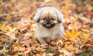 ピーリングでくすみを解消する効果は本当にあるの？