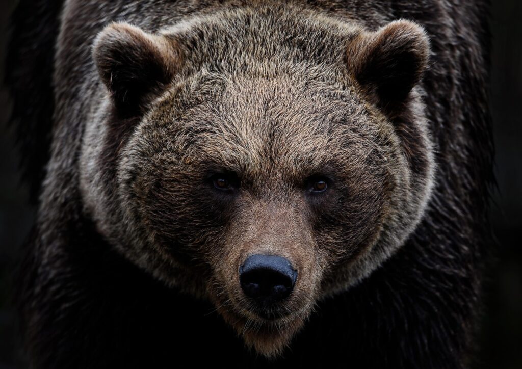 目の下のクマを改善するためのダウンタイムはどれくらい必要ですか？