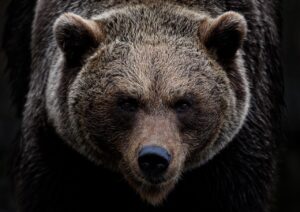 目の下のクマを改善するためのダウンタイムはどれくらい必要ですか？