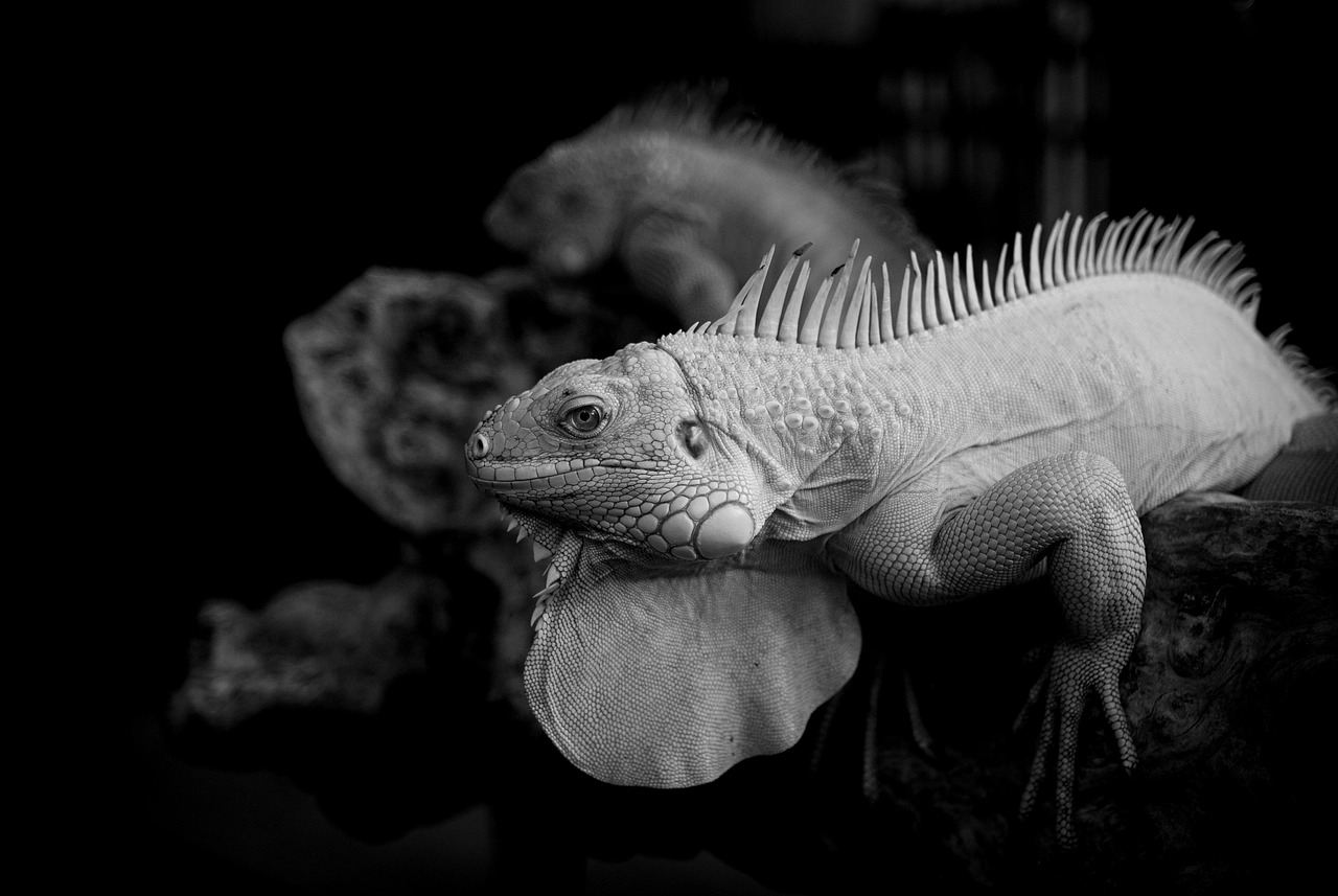 糖化予防のためにおすすめの施術は？