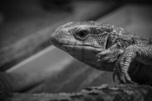 美白と美肌を手に入れるための早い施術方法は？