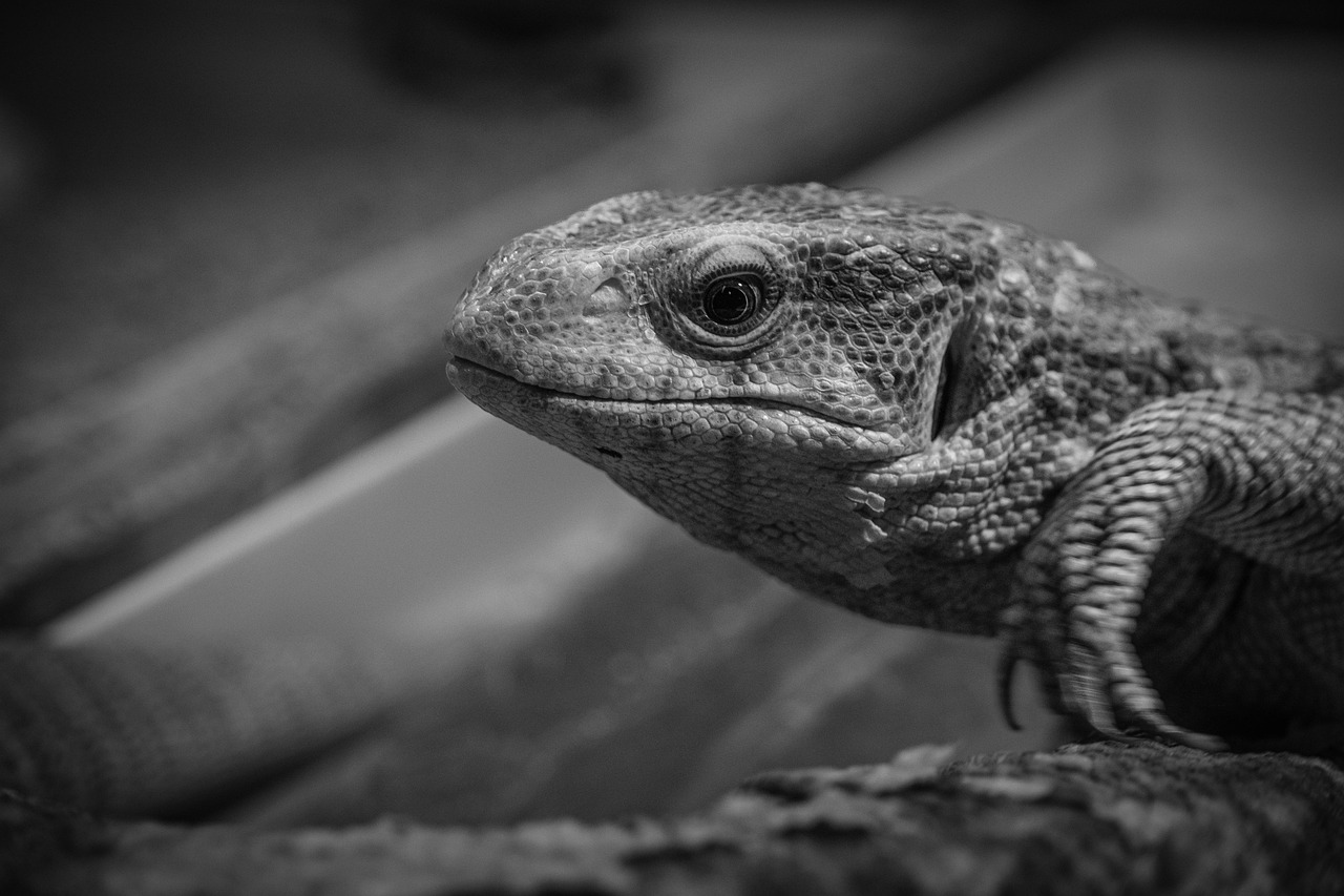 美白と美肌を手に入れるための早い施術方法は？