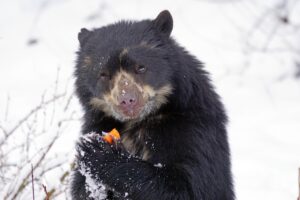 鼻整形のダウンタイムを短くするためのポイントは？